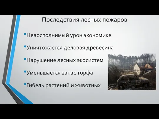 Последствия лесных пожаров Невосполнимый урон экономике Уничтожается деловая древесина Нарушение лесных экосистем