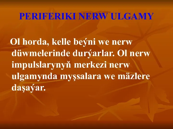 PERIFERIKI NERW ULGAMY Ol horda, kelle beýni we nerw düwmelerinde durýarlar. Ol