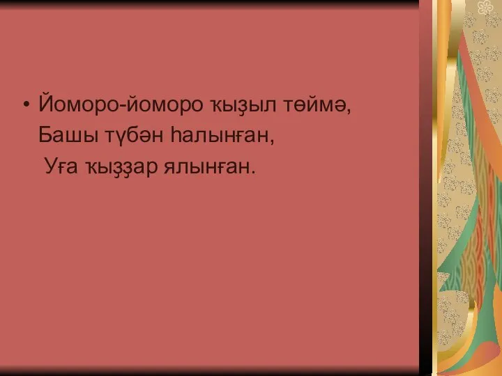 Йоморо-йоморо ҡыҙыл төймә, Башы түбән һалынған, Уға ҡыҙҙар ялынған.