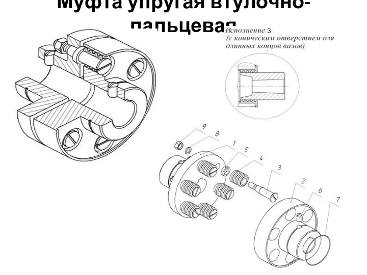 Муфта упругая втулочно-пальцевая