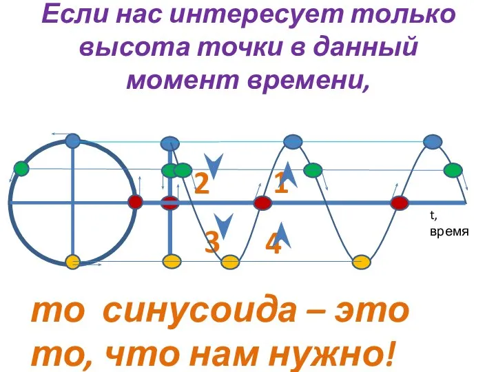 Если нас интересует только высота точки в данный момент времени, то синусоида