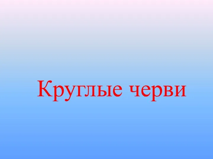 Круглые черви