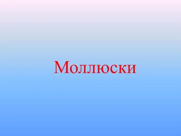 Моллюски