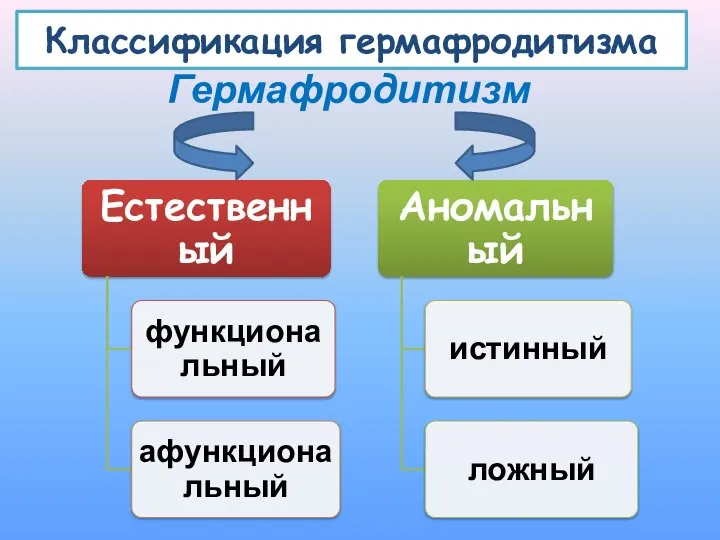 Классификация гермафродитизма Гермафродитизм