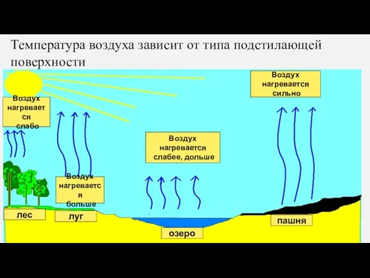 лес луг Воздух нагревается слабо Воздух нагревается больше озеро пашня Воздух нагревается