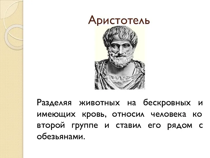 Аристотель Разделяя животных на бескровных и имеющих кровь, относил человека ко второй