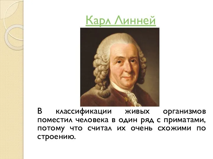 Карл Линней В классификации живых организмов поместил человека в один ряд с