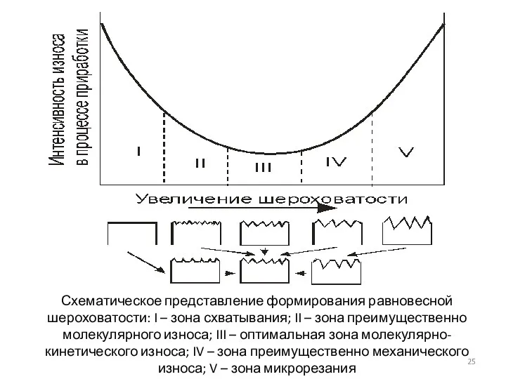 Схематическое представление формирования равновесной шероховатости: I – зона схватывания; II – зона