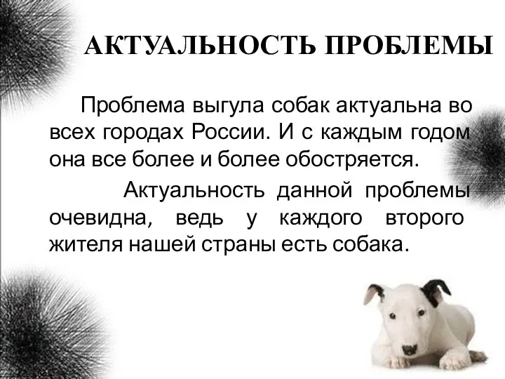 АКТУАЛЬНОСТЬ ПРОБЛЕМЫ Проблема выгула собак актуальна во всех городах России. И с