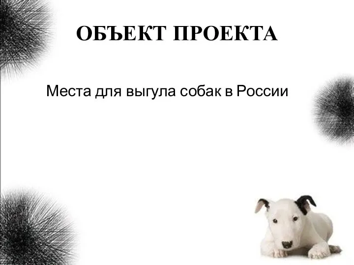 ОБЪЕКТ ПРОЕКТА Места для выгула собак в России