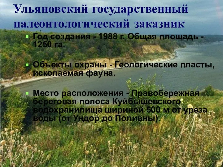 Ульяновский государственный палеонтологический заказник Год создания - 1988 г. Общая площадь -