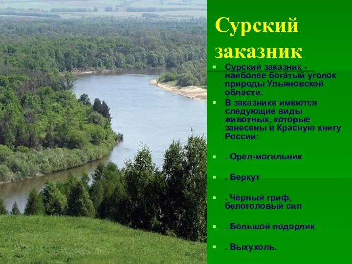 Сурский заказник Сурский заказник - наиболее богатый уголок природы Ульяновской области. В