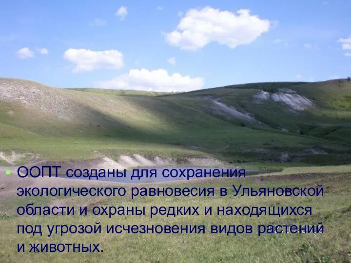 ООПТ созданы для сохранения экологического равновесия в Ульяновской области и охраны редких
