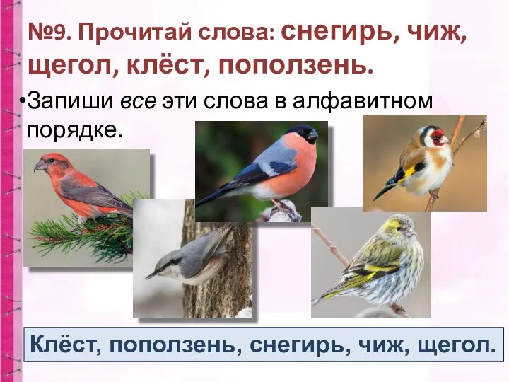 №9. Прочитай слова: снегирь, чиж, щегол, клёст, поползень. Запиши все эти слова