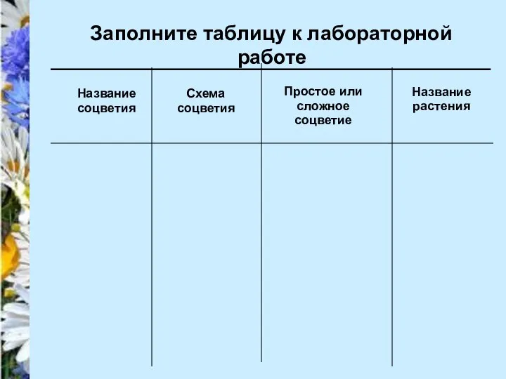 Название растения Название соцветия Простое или сложное соцветие Схема соцветия Заполните таблицу к лабораторной работе