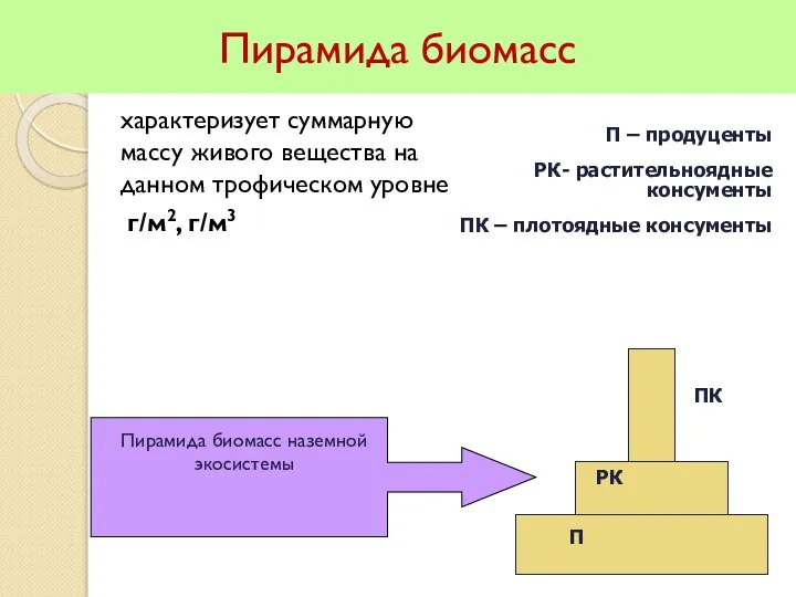 Пирамида биомасс характеризует суммарную массу живого вещества на данном трофическом уровне г/м2,