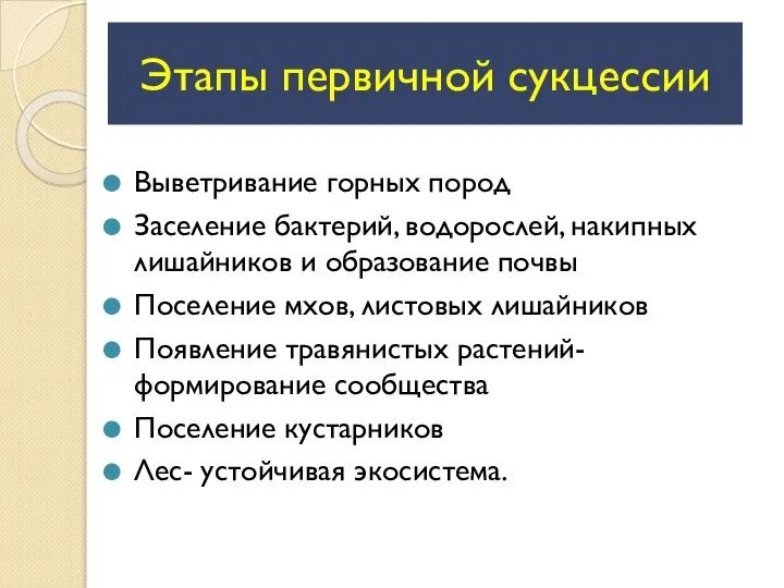 Этапы первичной сукцессии Выветривание горных пород Заселение бактерий, водорослей, накипных лишайников и