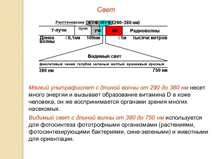 Свет Мягкий ультрафиолет с длиной волны от 290 до 380 нм несет