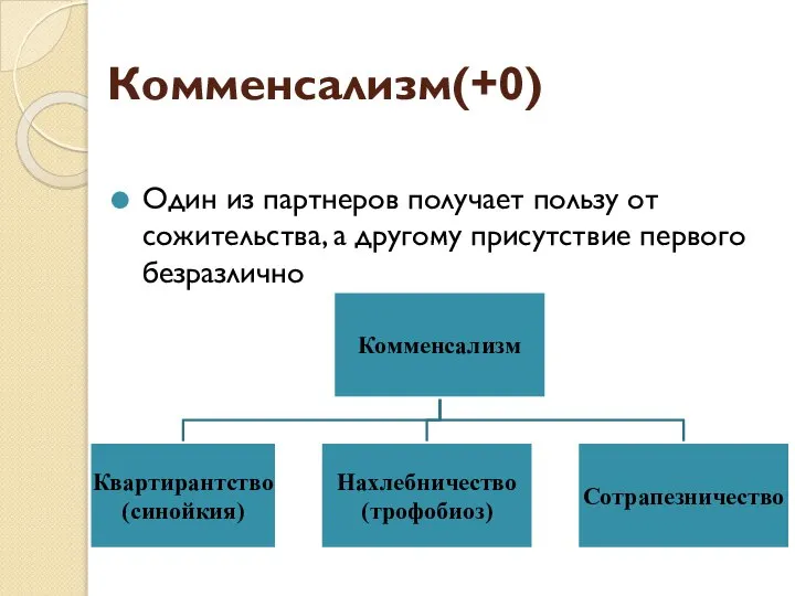 Комменсализм(+0) Один из партнеров получает пользу от сожительства, а другому присутствие первого безразлично