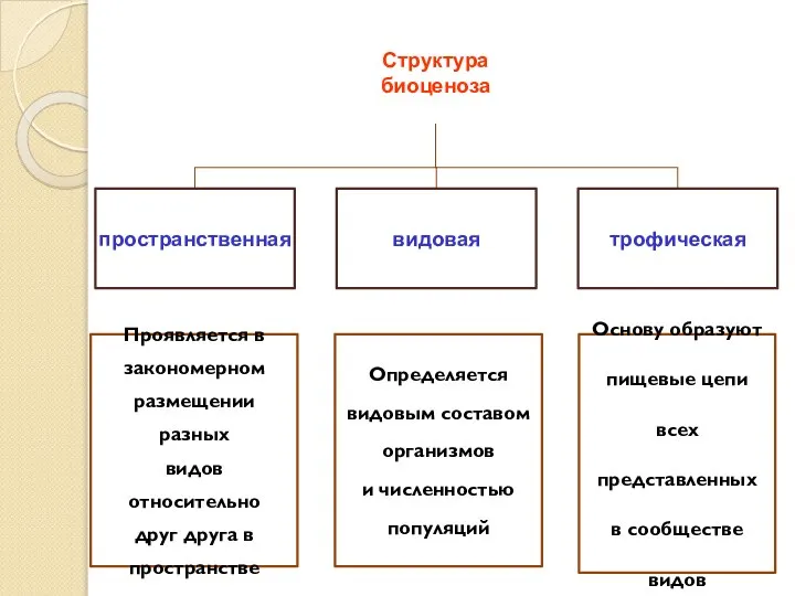 Проявляется в закономерном размещении разных видов относительно друг друга в пространстве Определяется