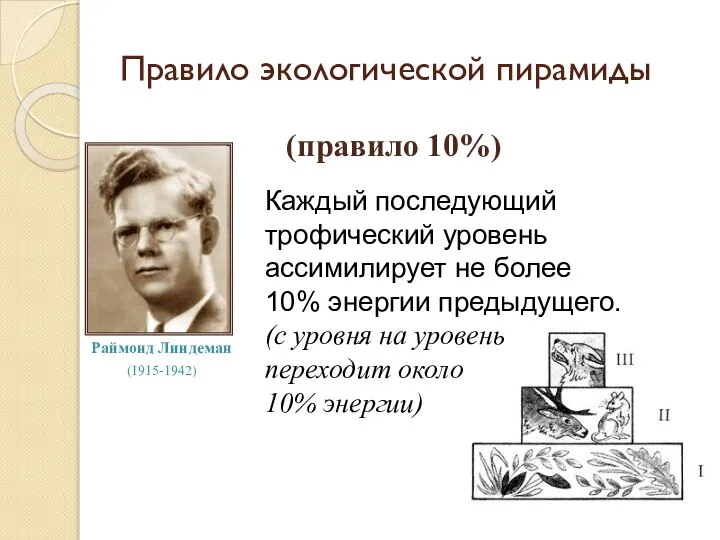 Правило экологической пирамиды (правило 10%) Раймонд Линдеман (1915-1942) Каждый последующий трофический уровень