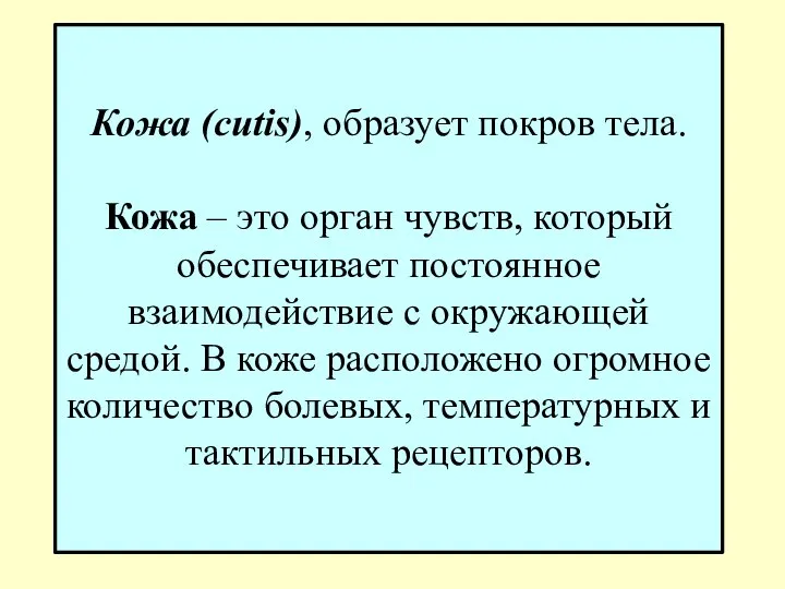 Кожа (cutis), образует покров тела. Кожа – это орган чувств, который обеспечивает