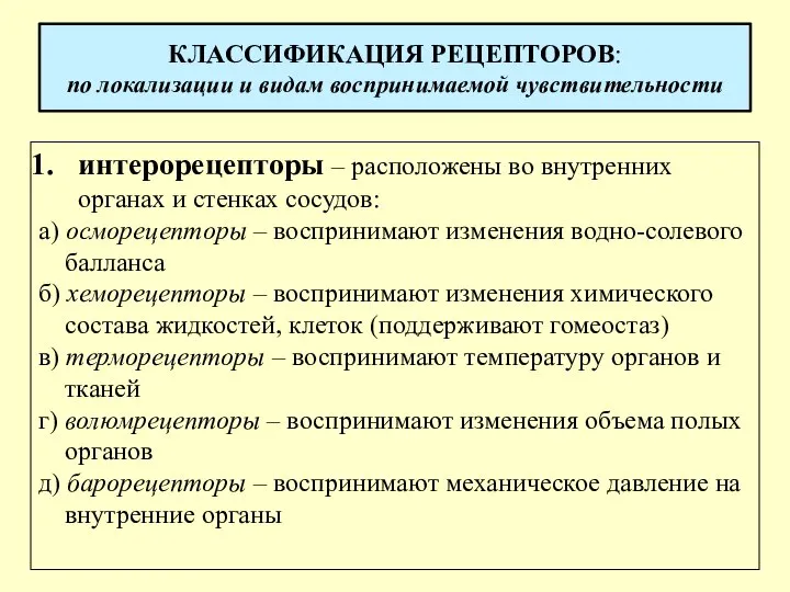 КЛАССИФИКАЦИЯ РЕЦЕПТОРОВ: по локализации и видам воспринимаемой чувствительности интерорецепторы – расположены во