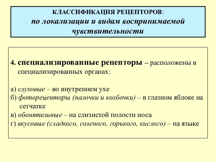 КЛАССИФИКАЦИЯ РЕЦЕПТОРОВ: по локализации и видам воспринимаемой чувствительности 4. специализированные рецепторы –