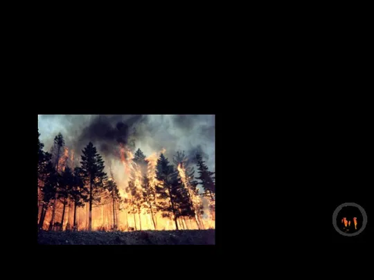 Введение В 2019 году произошли масштабные пожары в Сибири. Площадь возгораний и