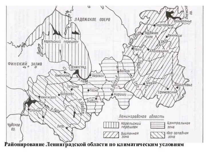 Районирование Ленинградской области по климатическим условиям