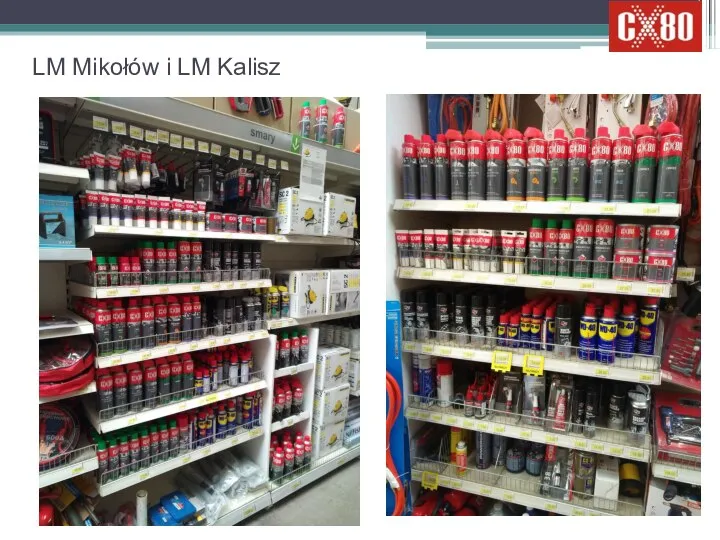 LM Mikołów i LM Kalisz