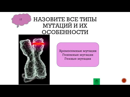 НАЗОВИТЕ ВСЕ ТИПЫ МУТАЦИЙ И ИХ ОСОБЕННОСТИ 17 Хромосомные мутации Геномные мутации Генные мутации