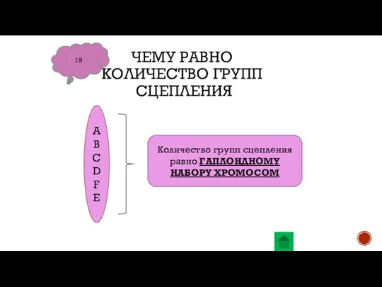 ЧЕМУ РАВНО КОЛИЧЕСТВО ГРУПП СЦЕПЛЕНИЯ 19 A B C D F E