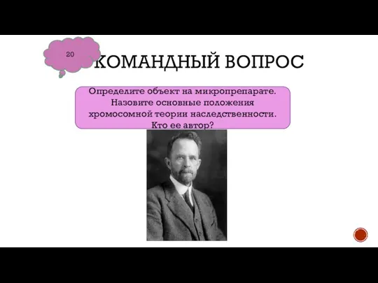 КОМАНДНЫЙ ВОПРОС 20 Определите объект на микропрепарате. Назовите основные положения хромосомной теории наследственности. Кто ее автор?