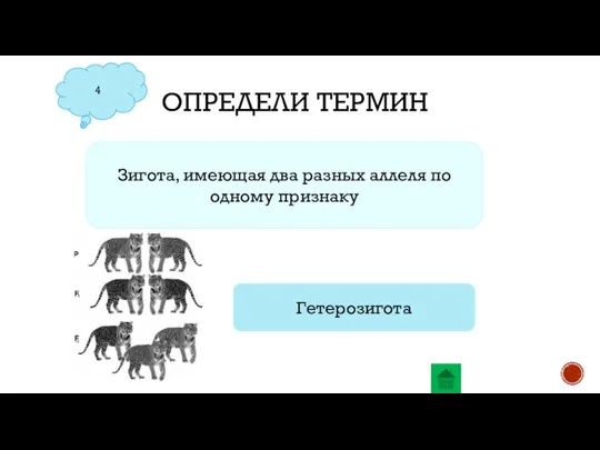 ОПРЕДЕЛИ ТЕРМИН 4 Зигота, имеющая два разных аллеля по одному признаку Гетерозигота