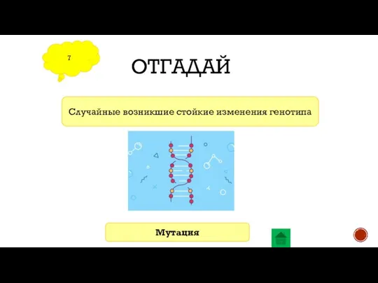 ОТГАДАЙ 7 Случайные возникшие стойкие изменения генотипа Мутация