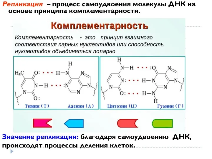 Репликация – процесс самоудвоения молекулы ДНК на основе принципа комплементарности. Значение репликации: