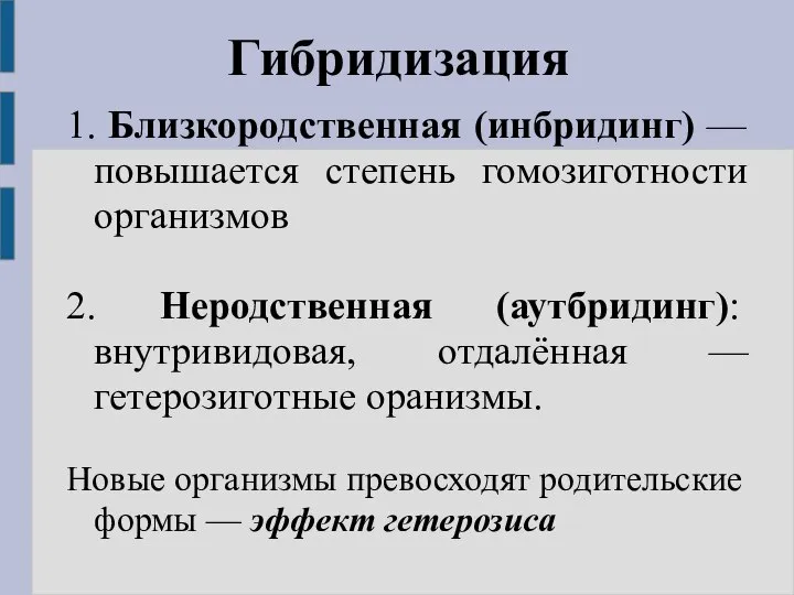 Гибридизация 1. Близкородственная (инбридинг) — повышается степень гомозиготности организмов 2. Неродственная (аутбридинг):