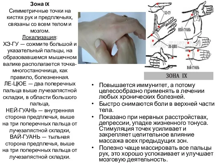 Зона IX Симметричные точки на кистях рук и предплечьях, связаны со всем