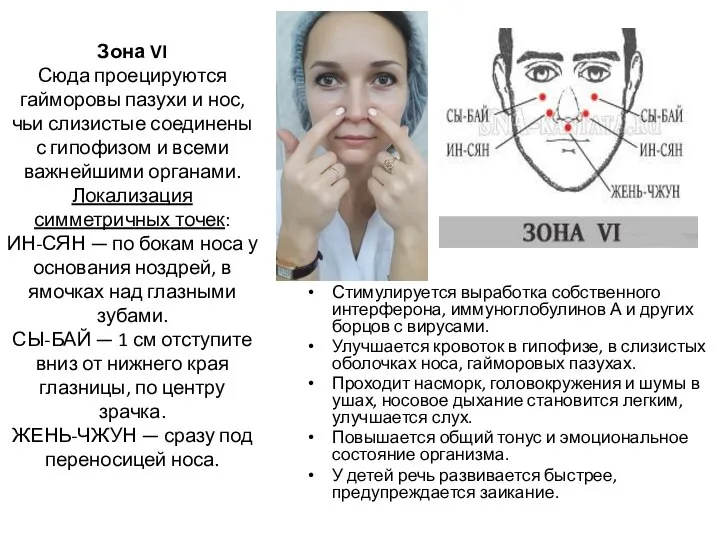 Зона VI Сюда проецируются гайморовы пазухи и нос, чьи слизистые соединены с