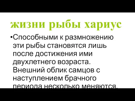 жизни рыбы хариус Способными к размножению эти рыбы становятся лишь после достижения