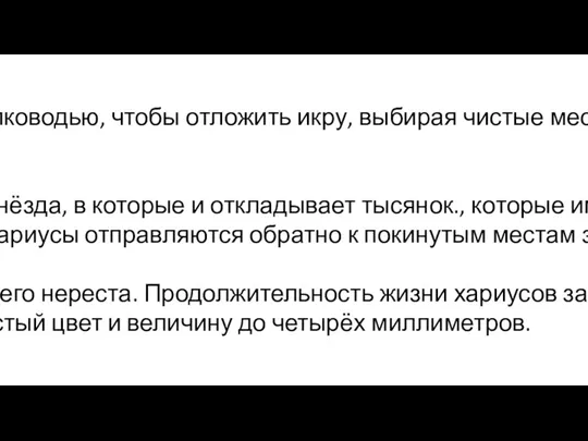 С наступлением весны икрихариус стремится к мелководью, чтобы отложить икру, выбирая чистые