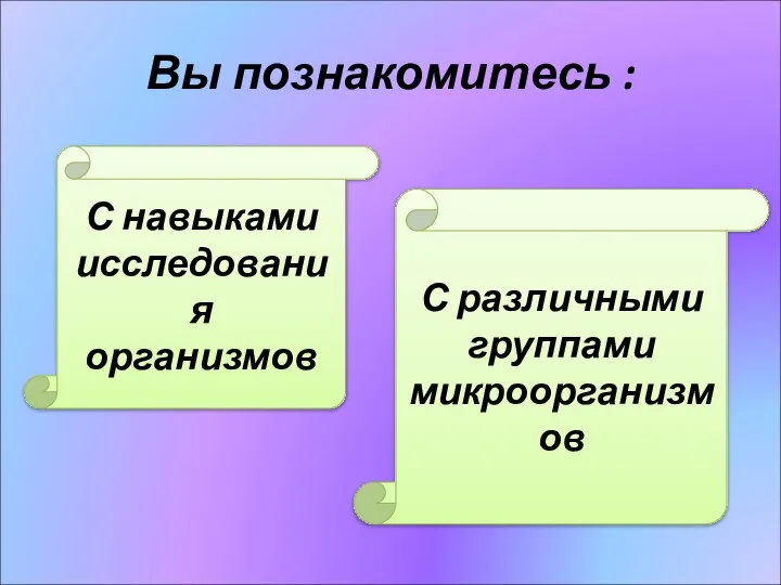 Вы познакомитесь : С навыками исследования организмов С различными группами микроорганизмов