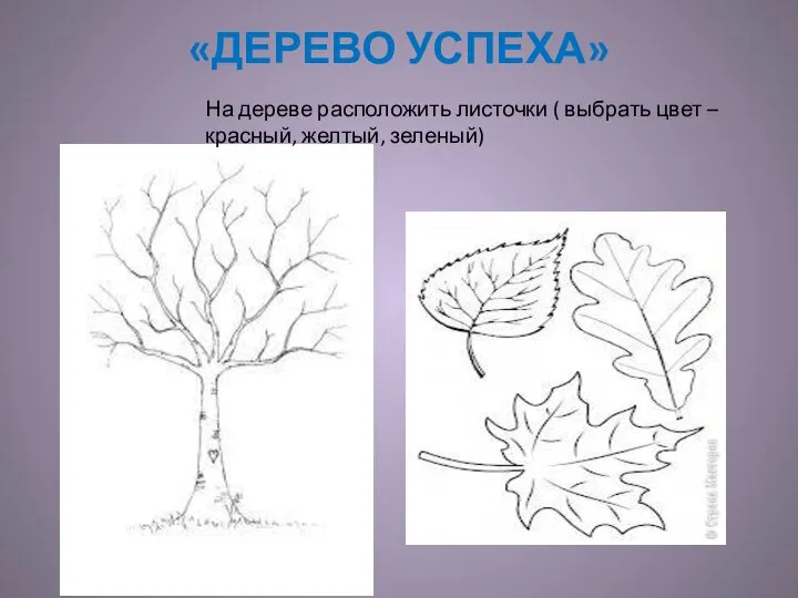 «ДЕРЕВО УСПЕХА» На дереве расположить листочки ( выбрать цвет – красный, желтый, зеленый)