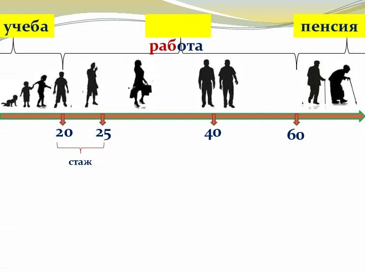 20 учеба 60 25 40 работа стаж пенсия