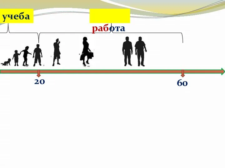 20 учеба 60 работа