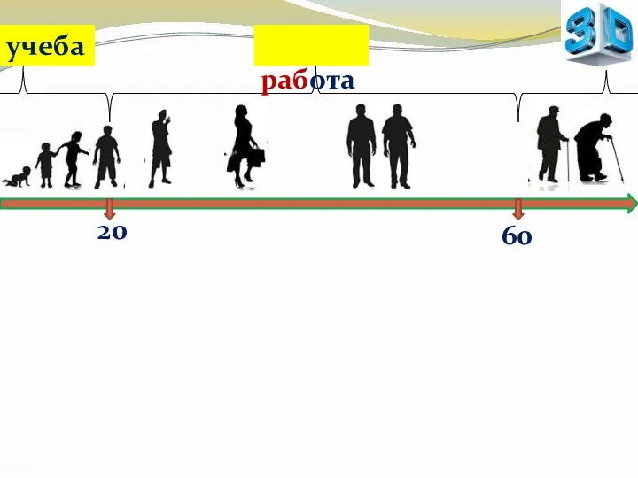 20 учеба 60 работа