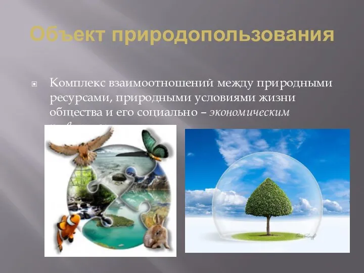 Объект природопользования Комплекс взаимоотношений между природными ресурсами, природными условиями жизни общества и