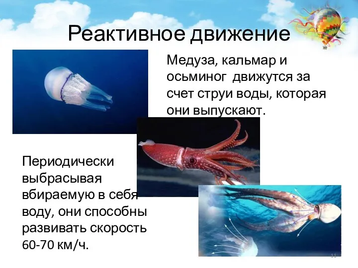 Реактивное движение Медуза, кальмар и осьминог движутся за счет струи воды, которая