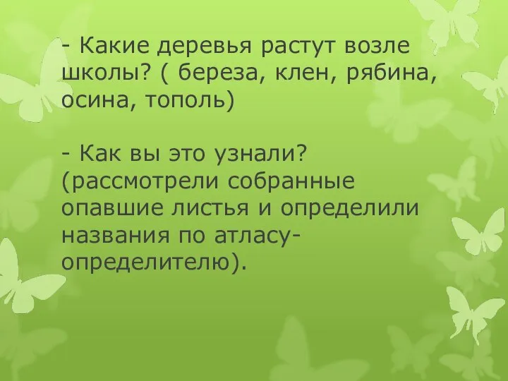 - Какие деревья растут возле школы? ( береза, клен, рябина, осина, тополь)